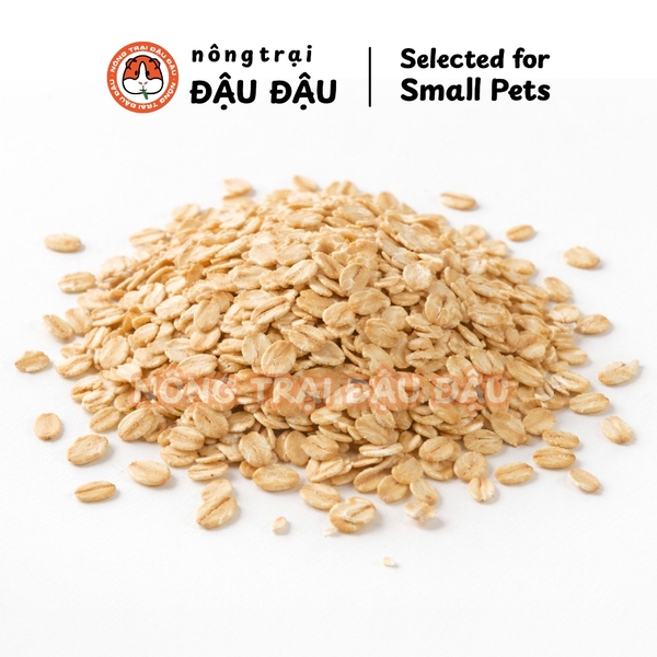 Yến Mạch Cho Thỏ, Bọ Ú, Hamster Ăn Vặt Giàu Dinh Dưỡng 100g