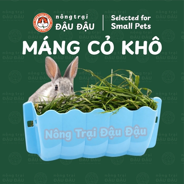 Máng Cỏ Cho Thỏ, Bọ Ú, Chinchilla Tiết Kiệm Diện Tích