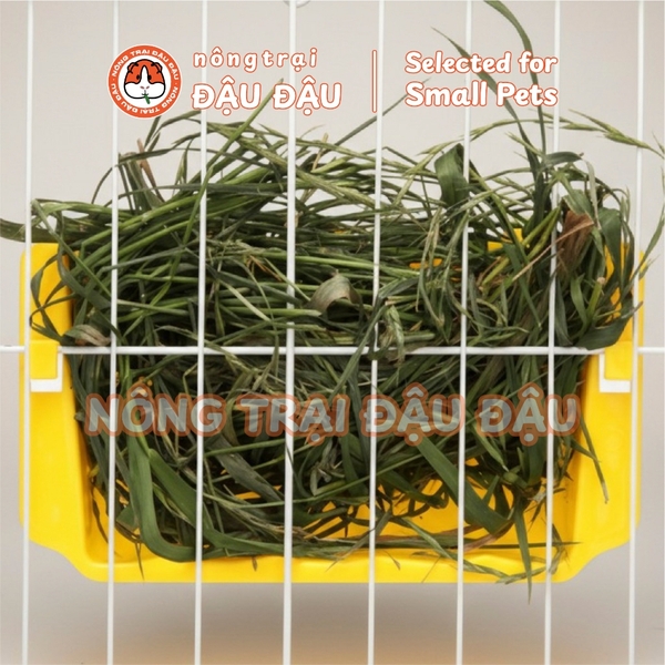 Máng Cỏ Cho Thỏ, Bọ Ú, Chinchilla Tiết Kiệm Diện Tích