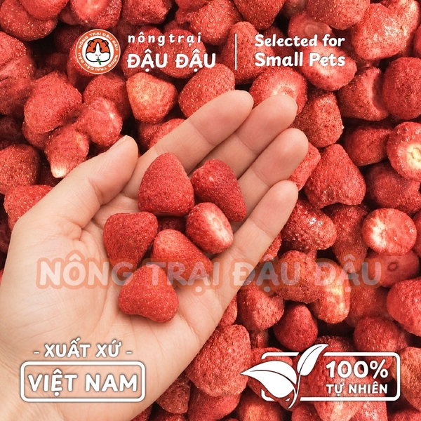 Dâu Sấy Thăng Hoa Cho Thỏ, Bọ Ú, Hamster Ăn Vặt Giàu Vitamin 20g