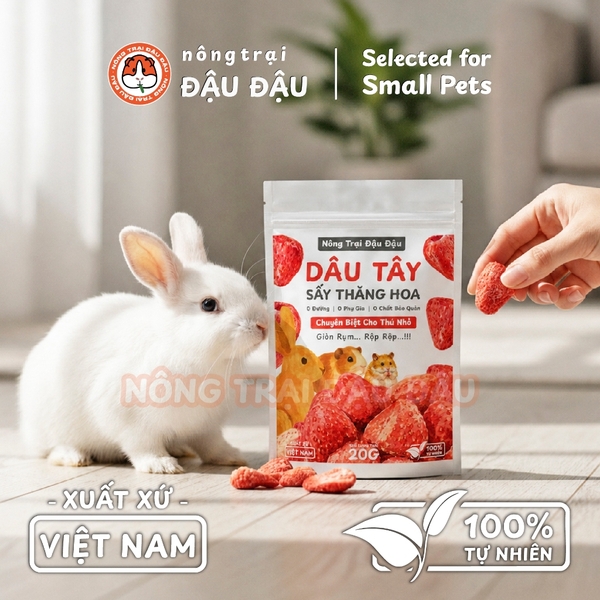 Dâu Sấy Thăng Hoa Cho Thỏ, Bọ Ú, Hamster Ăn Vặt Giàu Vitamin 20g