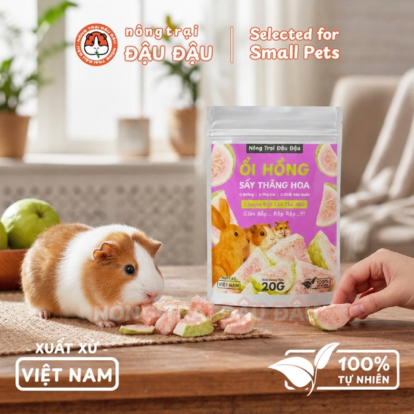 Ổi Sấy Thăng Hoa Cho Thỏ, Bọ Ú, Hamster Trái Cây Sấy Ăn Vặt Giàu Vitamin 20g