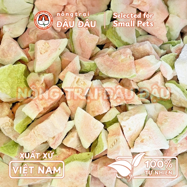 Ổi Sấy Thăng Hoa Cho Thỏ, Bọ Ú, Hamster Trái Cây Sấy Ăn Vặt Giàu Vitamin 20g