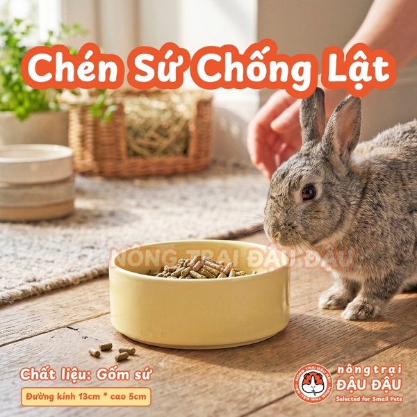 Chén Ăn Chống Lật Cho Thỏ, Bọ Ú, Chinchilla, Chó, Mèo Chất Liệu Gốm Sứ Cao Cấp