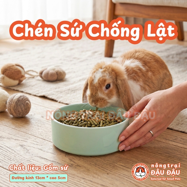 Chén Ăn Chống Lật Cho Thỏ, Bọ Ú, Chinchilla, Chó, Mèo Chất Liệu Gốm Sứ Cao Cấp