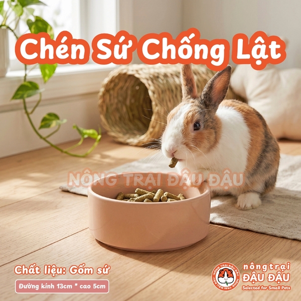 Chén Ăn Chống Lật Cho Thỏ, Bọ Ú, Chinchilla, Chó, Mèo Chất Liệu Gốm Sứ Cao Cấp