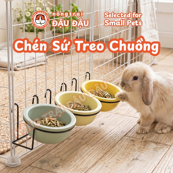 Chén Ăn Treo Chuồng Cho Thỏ, Bọ Ú, Chinchilla, Chó, Mèo Gốm Sứ Cao Cấp