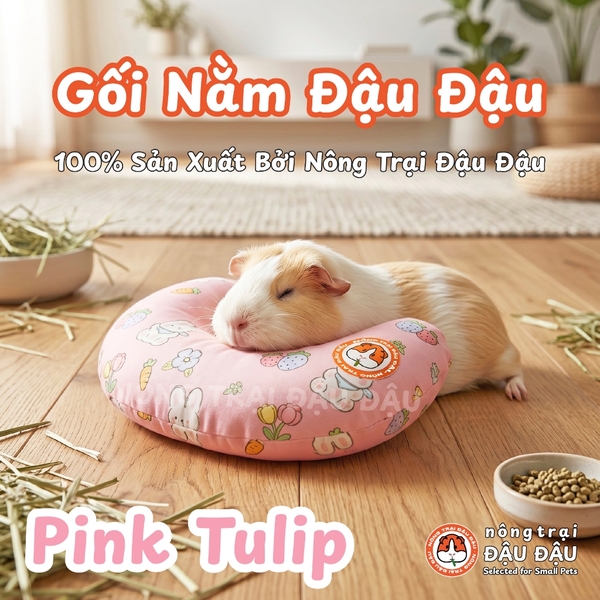 Gối Nằm Đậu Đậu Chuyên Dụng Cho Bọ Ú, Thỏ, Thú Nhỏ, Chó, Mèo