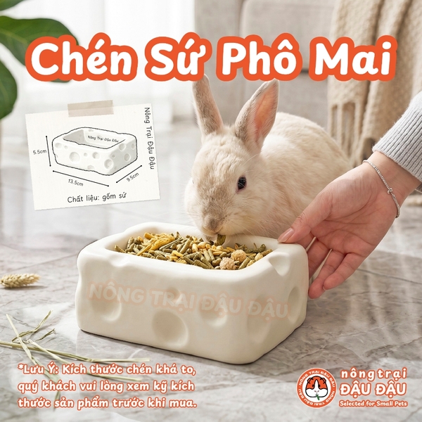 Chén Ăn Cho Thỏ, Bọ Ú, Chinchilla, Mèo, Chó Chất Liệu Gốm Sứ Hình Phô Mai Dễ Thương