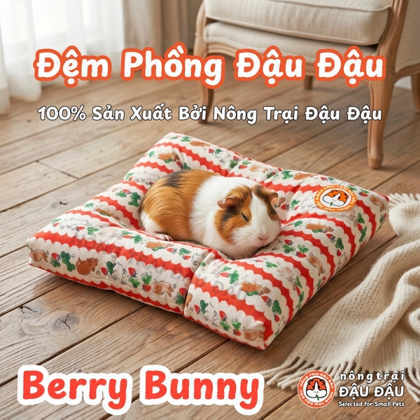 Đệm Cho Bọ Ú, Thỏ, Chinchilla, Thú Nhỏ Đệm Phồng Thoải Mái Thoáng Mát