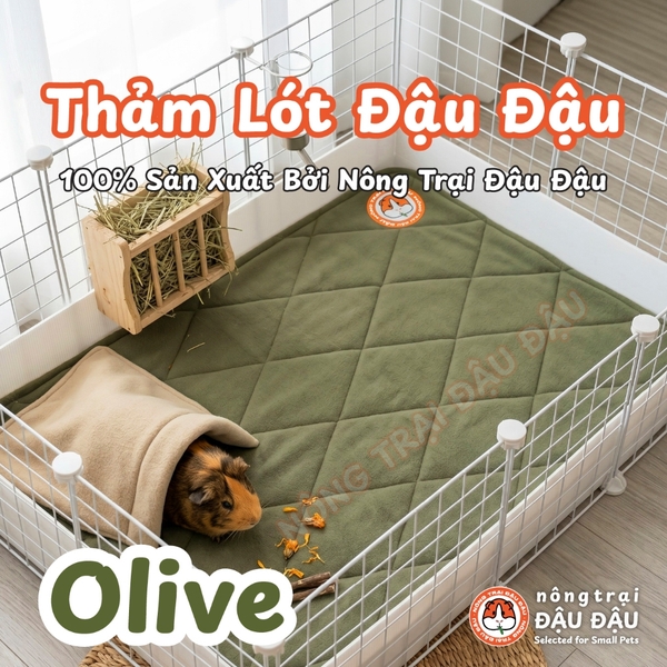 Thảm Thấm Hút Lót Chuồng Cho Thỏ, Bọ Ú (Chuột Lang) Pee Pads