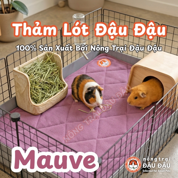 Thảm Thấm Hút Lót Chuồng Cho Thỏ, Bọ Ú (Chuột Lang) Pee Pads