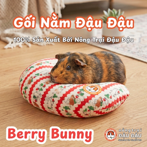 Gối Nằm Đậu Đậu Chuyên Dụng Cho Bọ Ú, Thỏ, Thú Nhỏ, Chó, Mèo
