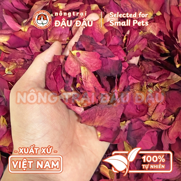 Cánh Hoa Hồng Sấy Lạnh Cho Thỏ, Bọ Ú, Hamster, Chinchilla Hoa Khô Ăn Vặt Giảm Stress 20g