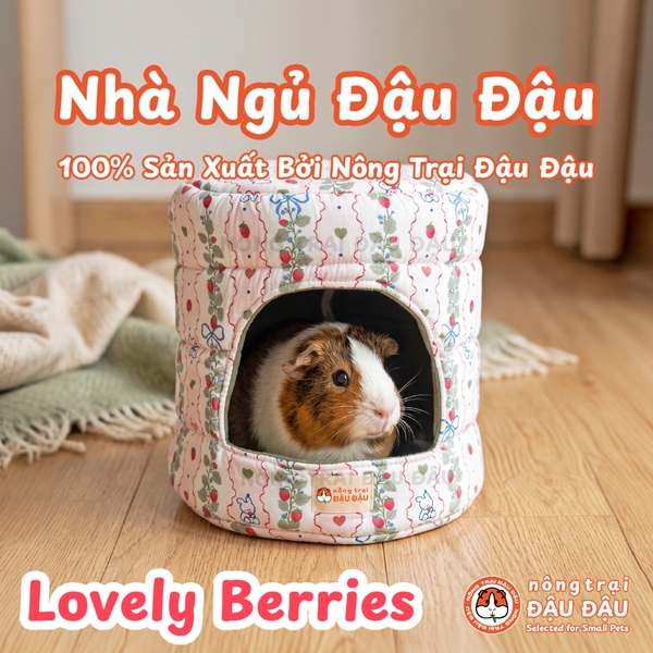 Nhà Ngủ Đậu Đậu