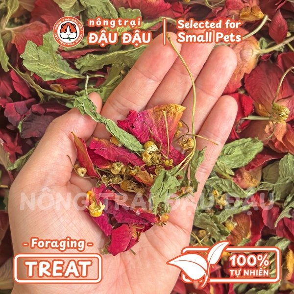 Botanical Forage - Cánh Hoa Hồng, Cúc La Mã, Lá Bạc Hà 20g