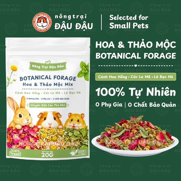 Botanical Forage - Cánh Hoa Hồng, Cúc La Mã, Lá Bạc Hà 20g