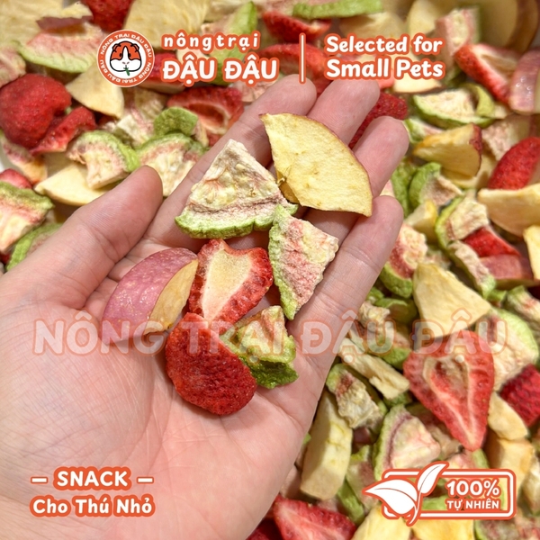 Snack Trái Cây Sấy Thăng Hoa Cho Thỏ, Bọ Ú, Hamster Đậu Đậu Nhấm Nháp Má Hồng Ổi Táo Dâu 25G