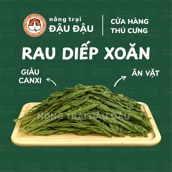Rau Diếp Xoăn Cho Thỏ, Bọ Ú, Chinchilla Ăn Vặt Giàu Dinh Dưỡng