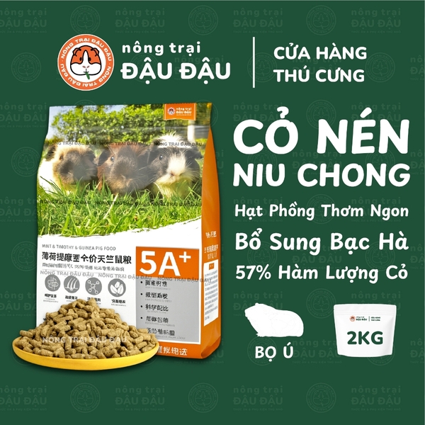 Cỏ Nén Hạt Phồng Cho Bọ Ú Niu Chong Bổ Sung Bạc Hà Giàu Dinh Dưỡng 2kg