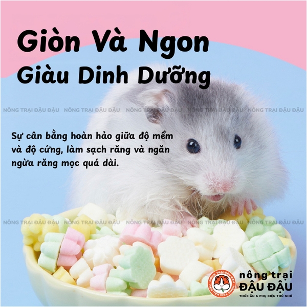 Cheese Pie Hamster Yee - Hộp 85g