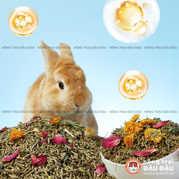 Cỏ Nén Cho Thỏ Yee Bổ Sung Hoa Và Thảo Mộc Hỗ Trợ Tiêu Hoá 2kg