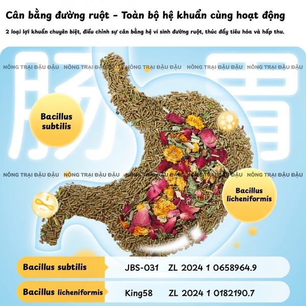 Cỏ Nén Cho Thỏ Yee Bổ Sung Hoa Và Thảo Mộc Hỗ Trợ Tiêu Hoá 2kg