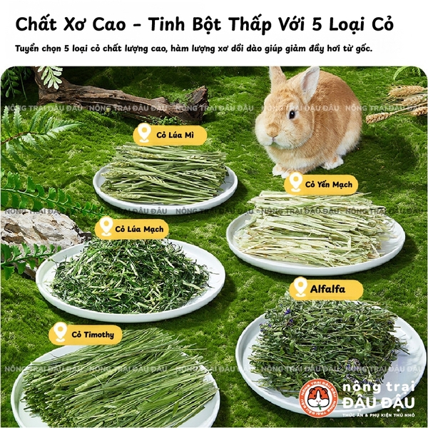 Cỏ Nén Cho Thỏ Yee Bổ Sung Hoa Và Thảo Mộc Hỗ Trợ Tiêu Hoá 2kg