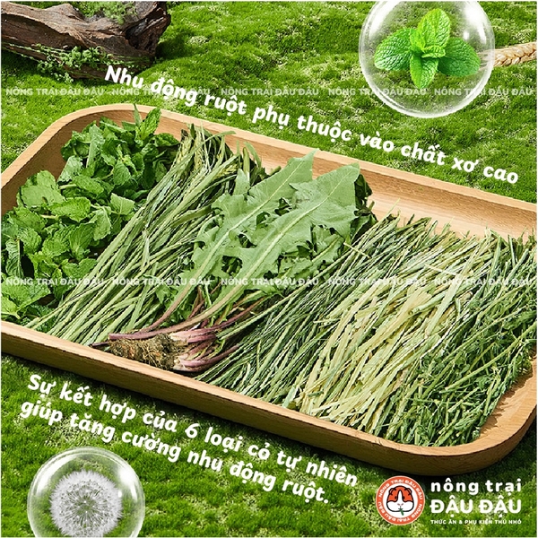 Bánh Cỏ Cho Thỏ Yee Cao Cấp Nướng Nhiệt Độ Thấp Tăng Cường Tiêu Hoá 1kg