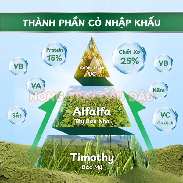 Bột Cỏ ProCare Hỗ Trợ Tiêu Hoá Cho Thỏ, Bọ Ú, Chinchilla 150g