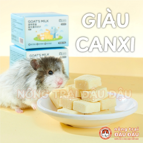 Viên Sữa Dê Cho Hamster Yee Giàu Canxi Tăng Cường Tiêu Hoá Hộp 34g
