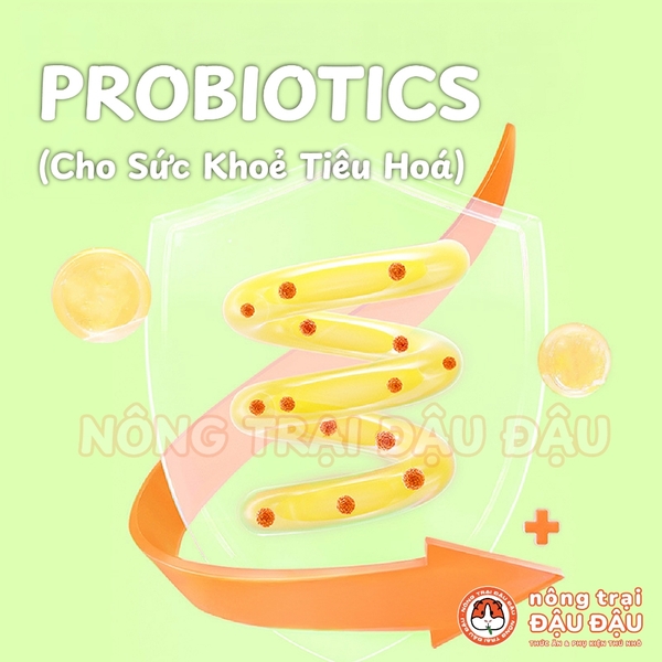 Pudding Cho Hamster Pudding Sữa Dê Gà Rau Củ Yee Hộp 100g