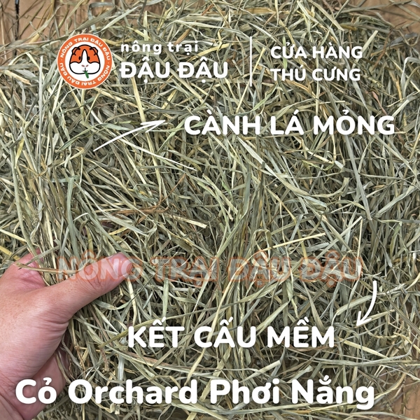 Cỏ Orchard Cho Thỏ, Bọ Ú, Chinchilla Giàu Chất Xơ Cành Mềm Mỏng 500g