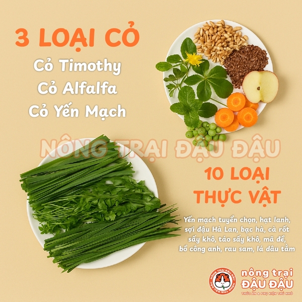 Cỏ Nén Cho Thỏ Cao Cấp Niu Chong Bổ Sung Ổi Và Nhiều Loại Trái Cây Rau Củ 800g