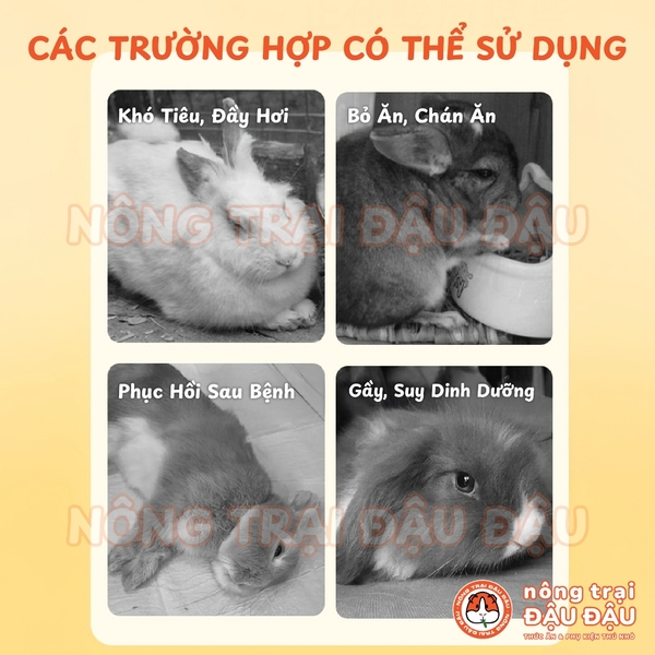 Bột Cỏ Dinh Dưỡng Phục Hồi Sức Khoẻ Niu Chong Cho Thỏ, Bọ Ú, Chinchilla, Hamster, Rùa Cạn, Thú Nhỏ 150g