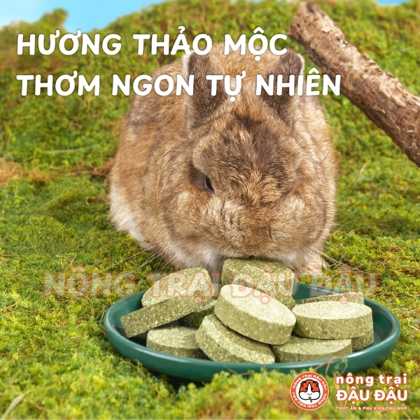 Bánh Cỏ Timothy Mài Răng Cho Thỏ, Bọ Ú, Chinchilla Niu Chong Túi Nguyên 150g