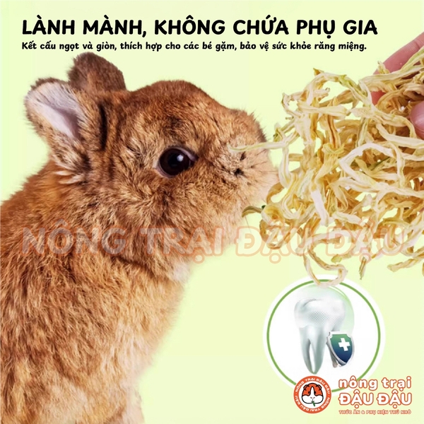 Đu Đủ Sợi Sấy Khô Cho Thỏ, Bọ Ú, Chinchilla, Hamster Niu Chong Thúc Đẩy Tiêu Lông 200g
