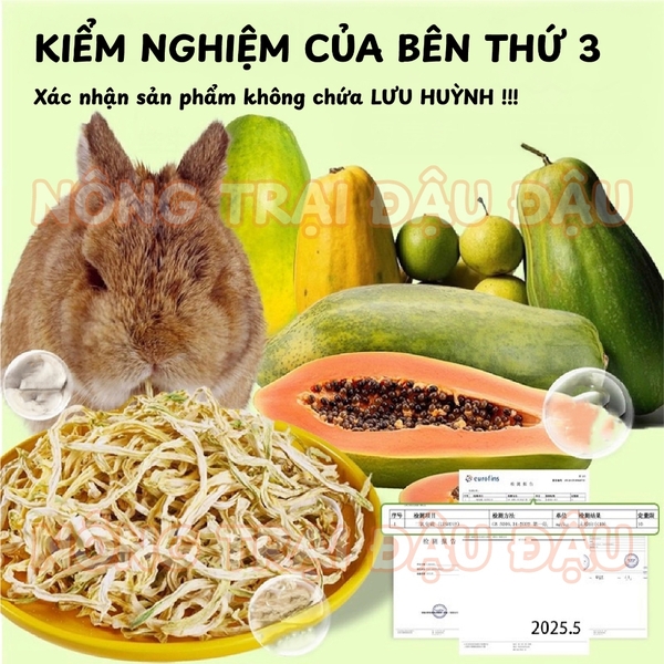 Đu Đủ Sợi Sấy Khô Cho Thỏ, Bọ Ú, Chinchilla, Hamster Niu Chong Thúc Đẩy Tiêu Lông 200g