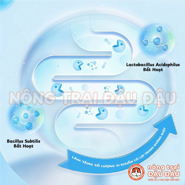 Bánh Cỏ Timothy Mài Răng Cho Thỏ, Bọ Ú, Chinchilla, Thú Nhỏ Bổ Sung Ashitaba Hỗ Trợ Tiêu Hoá 70g