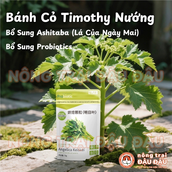 Bánh Cỏ Timothy Mài Răng Cho Thỏ, Bọ Ú, Chinchilla, Thú Nhỏ Bổ Sung Ashitaba Hỗ Trợ Tiêu Hoá 70g