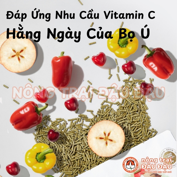 Cỏ Nén Timothy Cho Bọ Ú Chuột Lang Bổ Sung Vitamin C & Omega 3 Yee 800g