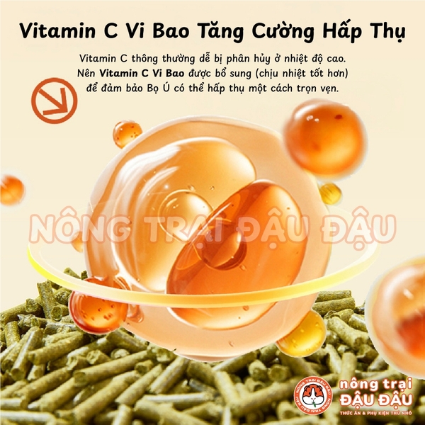 Cỏ Nén Timothy Cho Bọ Ú Chuột Lang Bổ Sung Vitamin C & Omega 3 Yee 800g