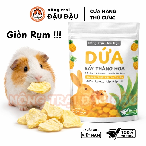 Dứa Sấy Thăng Hoa Cho Thỏ, Bọ Ú Ăn Vặt Cho Thỏ, Bọ Ú Thơm Ngon 25g
