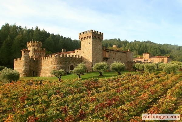 Lâu Đài Castello di Amorosa ở Hoa Kỳ
