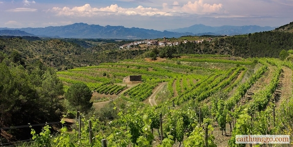  Priorat, Tây Ban Nha