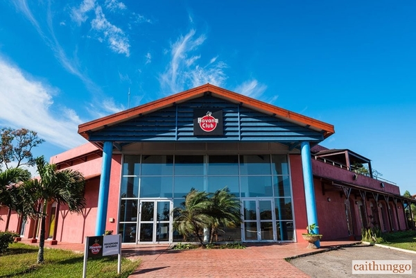 Quy Trình Sản Xuất Rượu Rum Cuba Của Havana Club