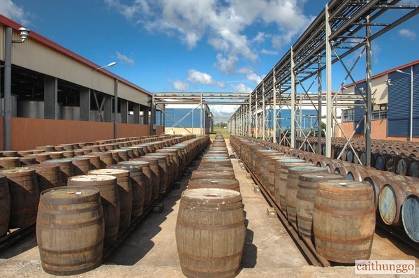 Cách Havana Club Sản Xuất Rum: Chưng Cất