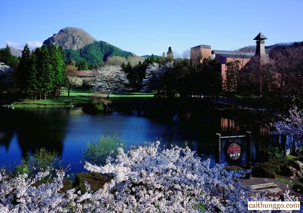 Nikka Whisky Được Làm Ở Đâu?