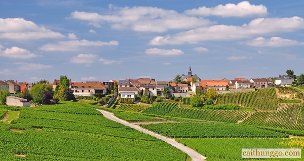 Champagne (Pháp)