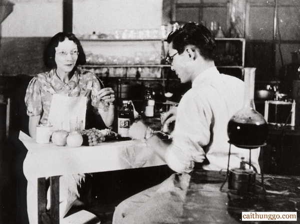 Hướng Dẫn Nhỏ Về Rượu Whisky Nikka: Huyền Thoại Nhật Bản